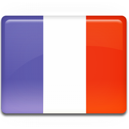 France_Flag_icon.png
