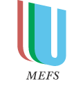 logo_mefs.gif